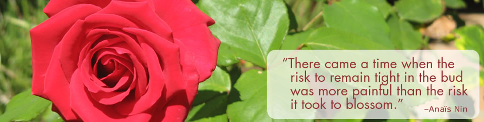 Rose photo with inspiring therapy quote